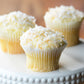 Babycakes vanilla cupcakes with whipped frosting and toasted coconut CC-12 Select Brands