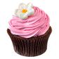 Babycakes chocolate decorated cupcake with pink icing CC-12 Select Brands